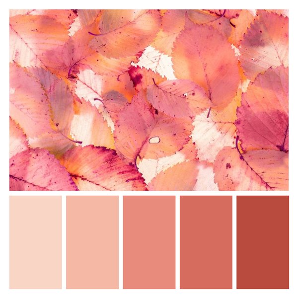 Autumn Leaf Blush