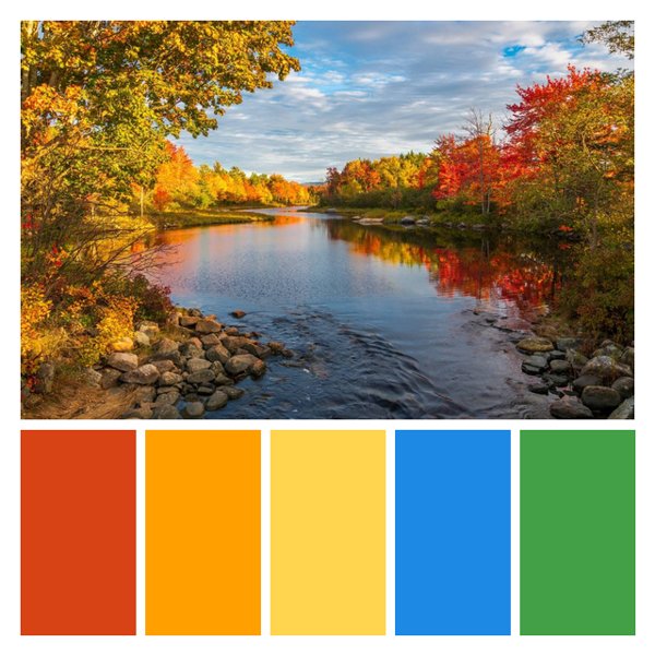 Autumnal Reflections