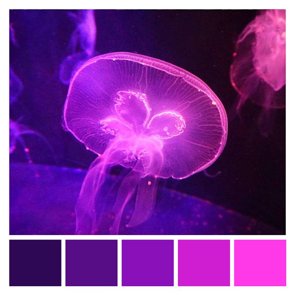 Bioluminescent Abyss