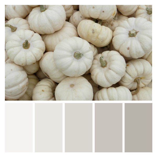 Ghost Pumpkin Harvest