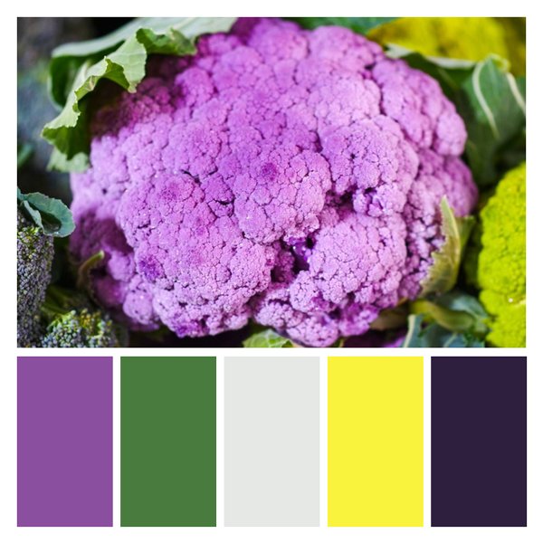 Purple Cauliflower Charm