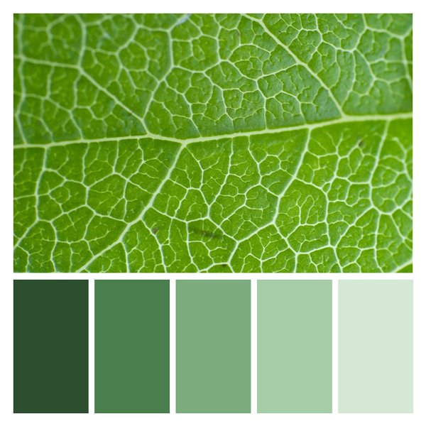 Verdant Veins